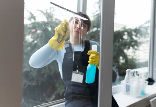 Nettoyage de vitres intérieures et extérieures à Brugheas